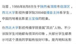 娱乐爆料大锤视频播放网站,热门视频网站背后的秘密